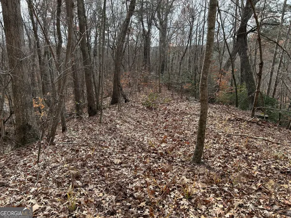 $1,100,000 | 0 Highway 105, Baldwin, GA 30511