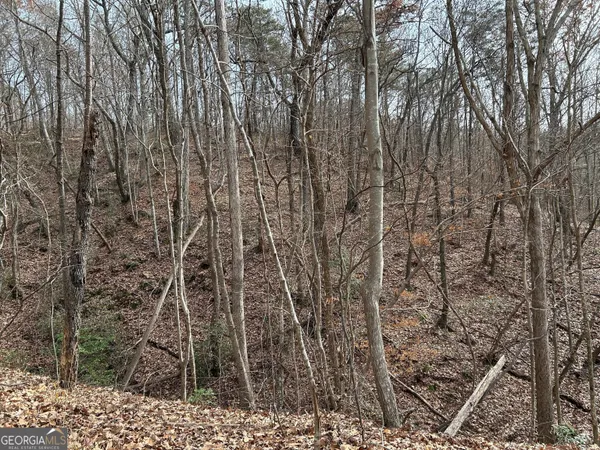 $1,100,000 | 0 Highway 105, Baldwin, GA 30511