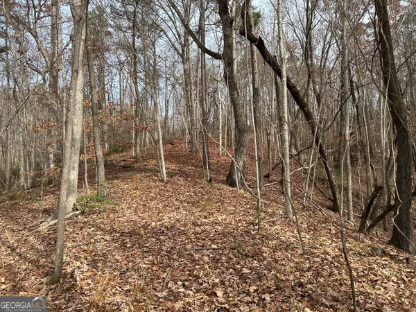 $1,100,000 | 0 Highway 105, Baldwin, GA 30511