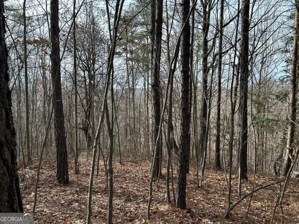 $1,100,000 | 0 Highway 105, Baldwin, GA 30511