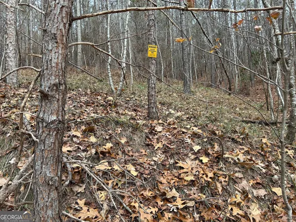 $1,100,000 | 0 Highway 105, Baldwin, GA 30511