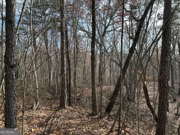 $1,100,000 | 0 Highway 105, Baldwin, GA 30511