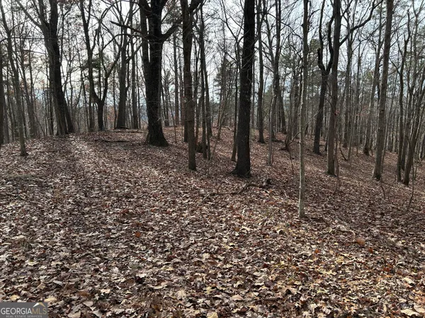 $1,100,000 | 0 Highway 105, Baldwin, GA 30511