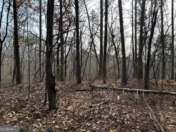 $1,100,000 | 0 Highway 105, Baldwin, GA 30511