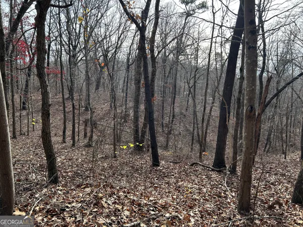 $1,100,000 | 0 Highway 105, Baldwin, GA 30511