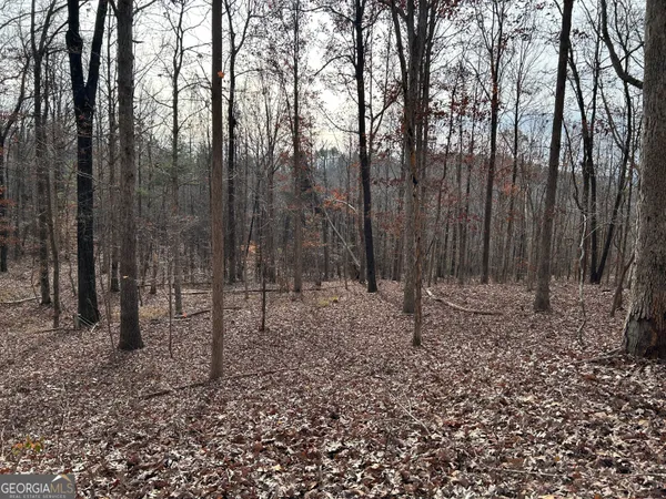 $1,100,000 | 0 Highway 105, Baldwin, GA 30511