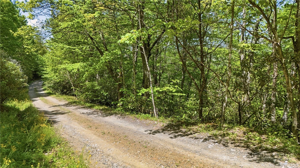 Lot #31 Snow Ridge Road Banner Elk, NC 28604 - Photo 18 of 19 Gallery Image 18