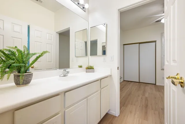 a bathroom with a sink a mirror and a potted plant