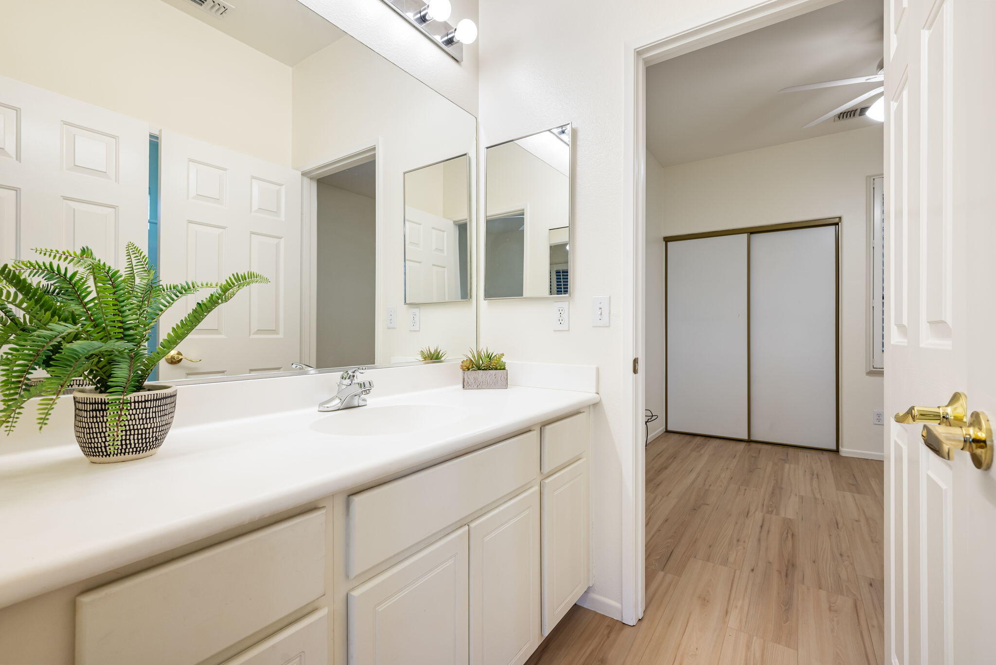 82631 Redford Way Indio, CA 92201 - Photo 34 of 43 a bathroom with a sink a mirror and a potted plant