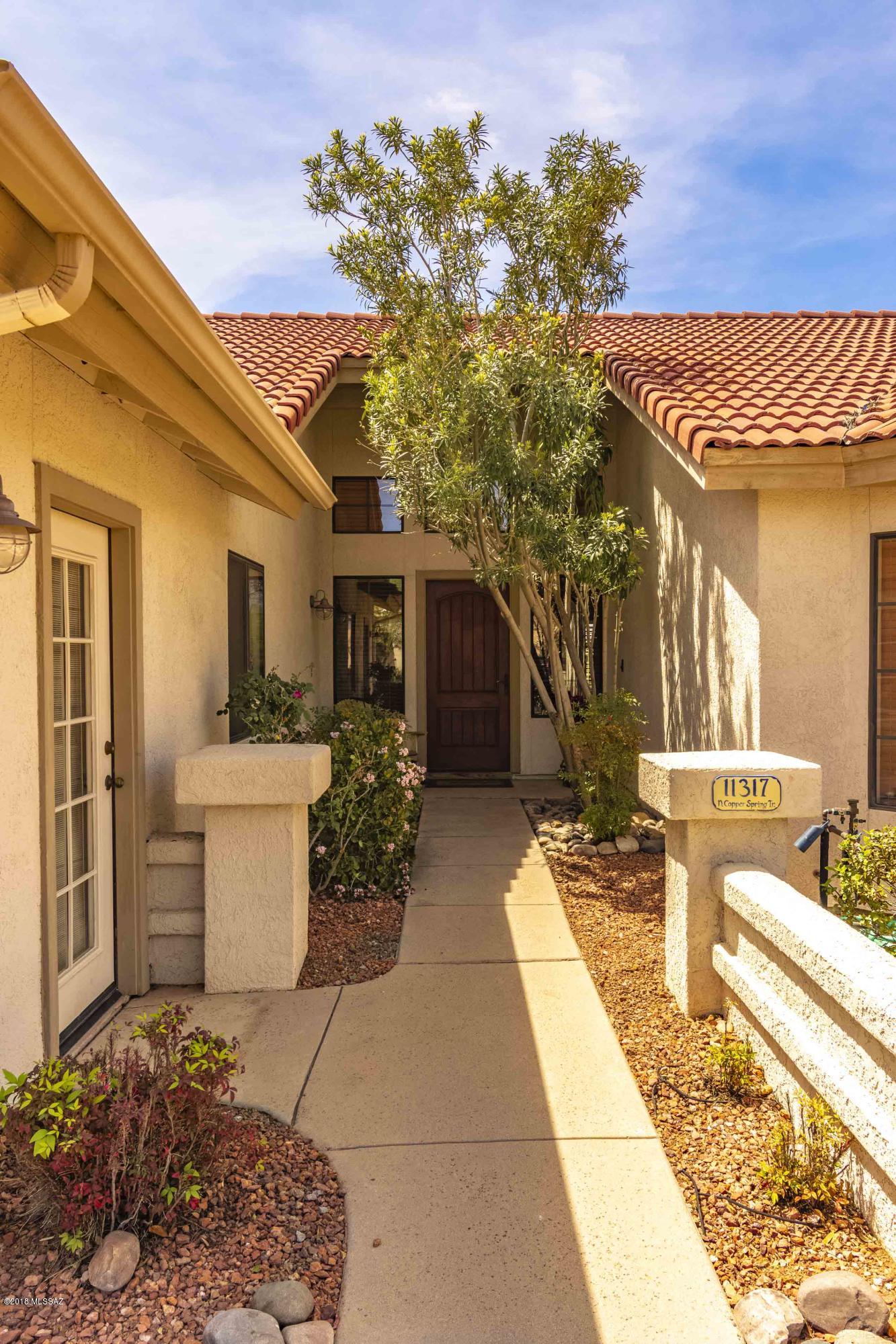 11317 North Copper Spring Place Oro Valley, AZ 85737 - Photo 28 of 29