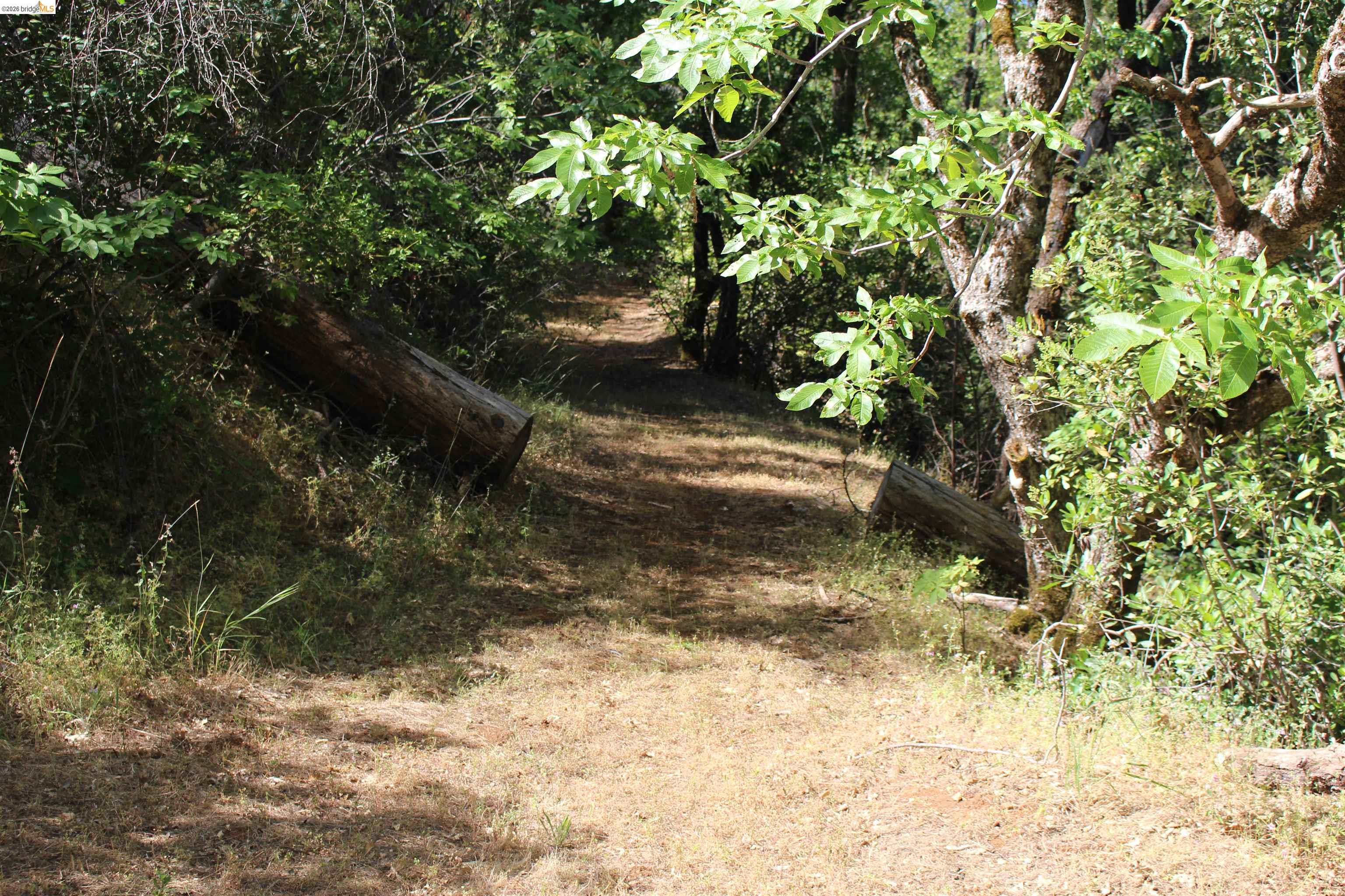12000 Cattle Drive Trail Columbia, CA 95310 - Photo 16 of 24