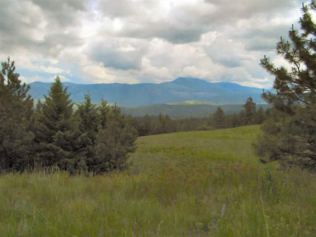 2592 Addy-Gifford Road Addy, WA 99101 - Photo 1 of 9