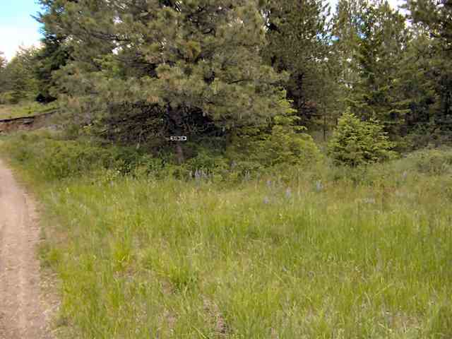 2592 Addy-Gifford Road Addy, WA 99101 - Photo 2 of 9