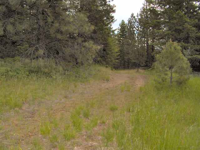 2592 Addy-Gifford Road Addy, WA 99101 - Photo 3 of 9