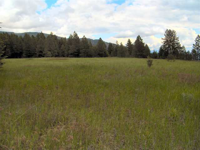 2592 Addy-Gifford Road Addy, WA 99101 - Photo 4 of 9