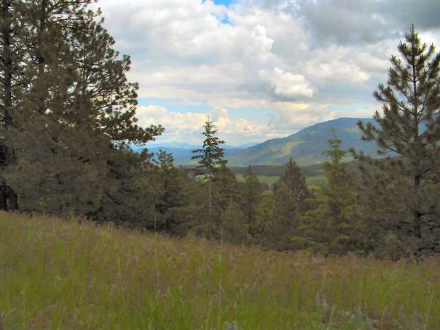 2592 Addy-Gifford Road Addy, WA 99101 - Photo 5 of 9