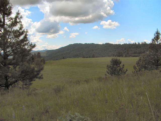 2592 Addy-Gifford Road Addy, WA 99101 - Photo 6 of 9