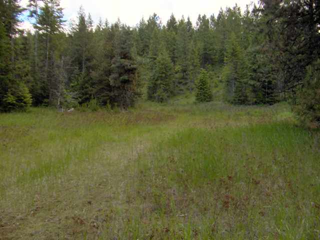 2592 Addy-Gifford Road Addy, WA 99101 - Photo 7 of 9