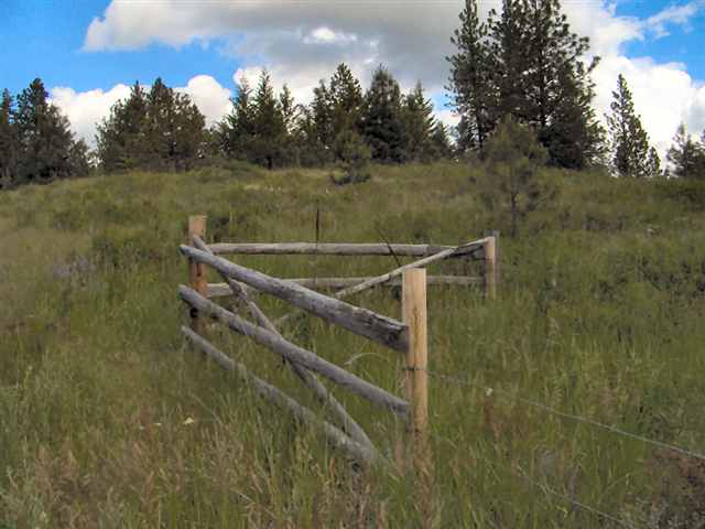 2592 Addy-Gifford Road Addy, WA 99101 - Photo 9 of 9