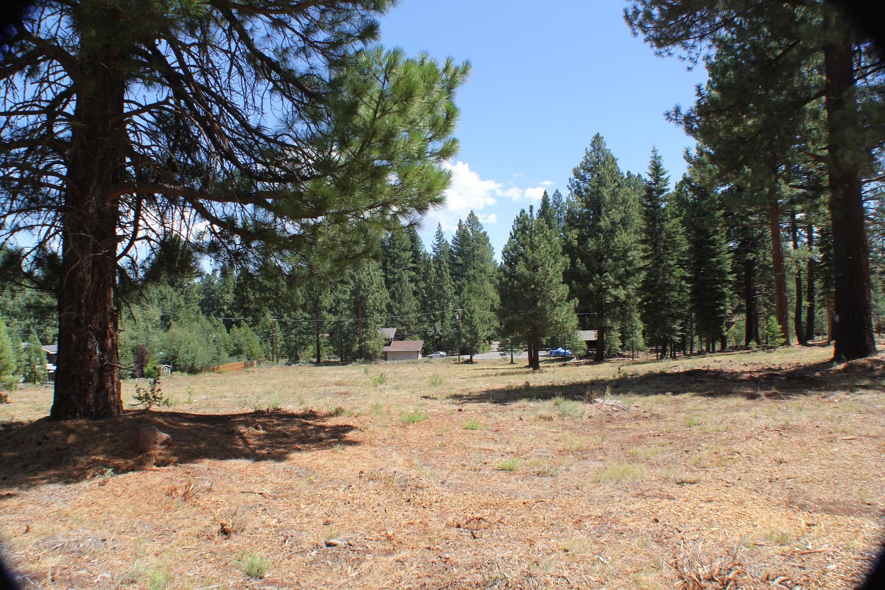 10735 Dogwood Road Truckee, CA 96161 - Photo 8 of 20 a view of dirt yard with a large tree