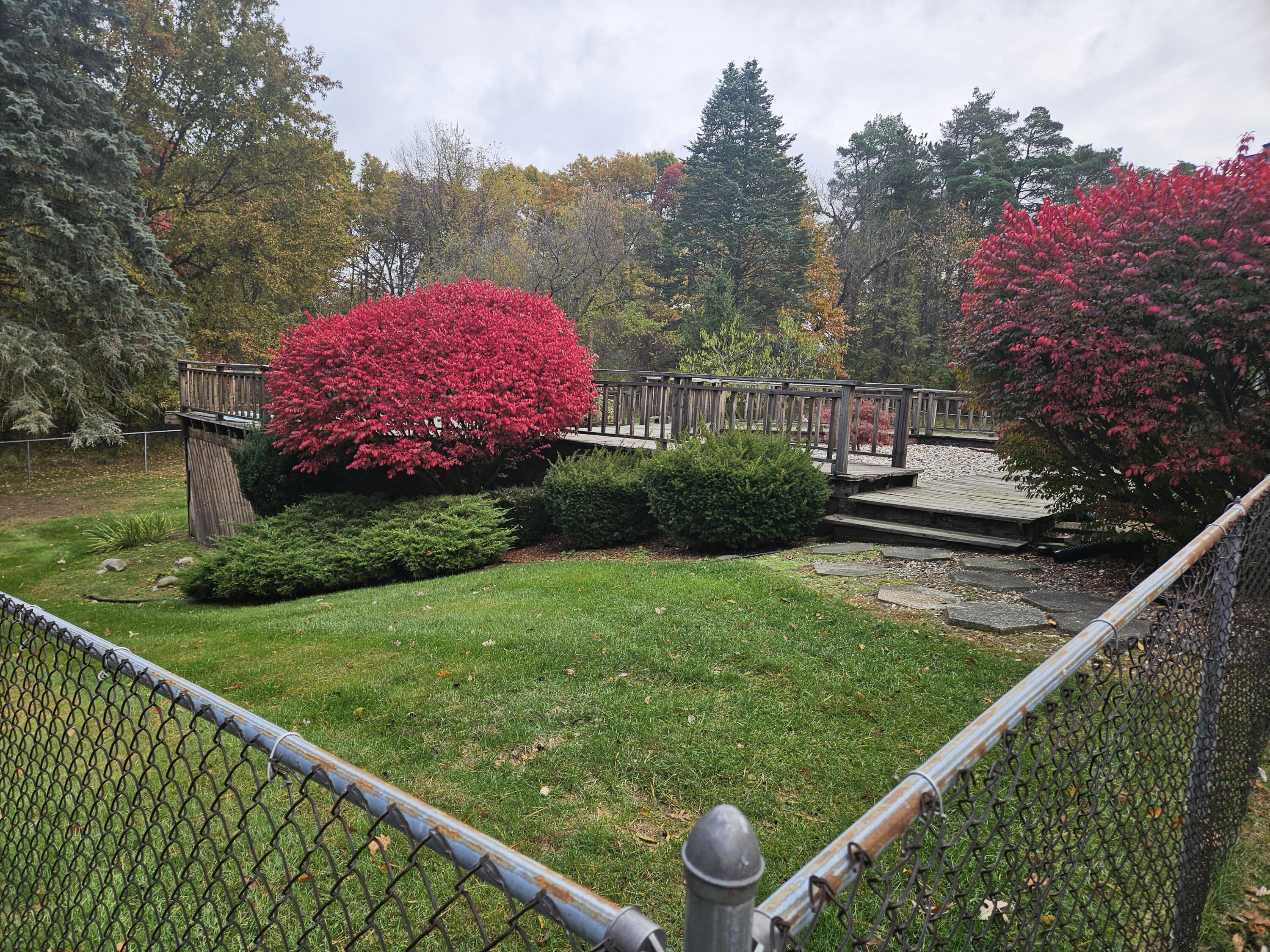 29299 Albion Road Albion, MI 49224 - Photo 2 of 8 Back yard deck