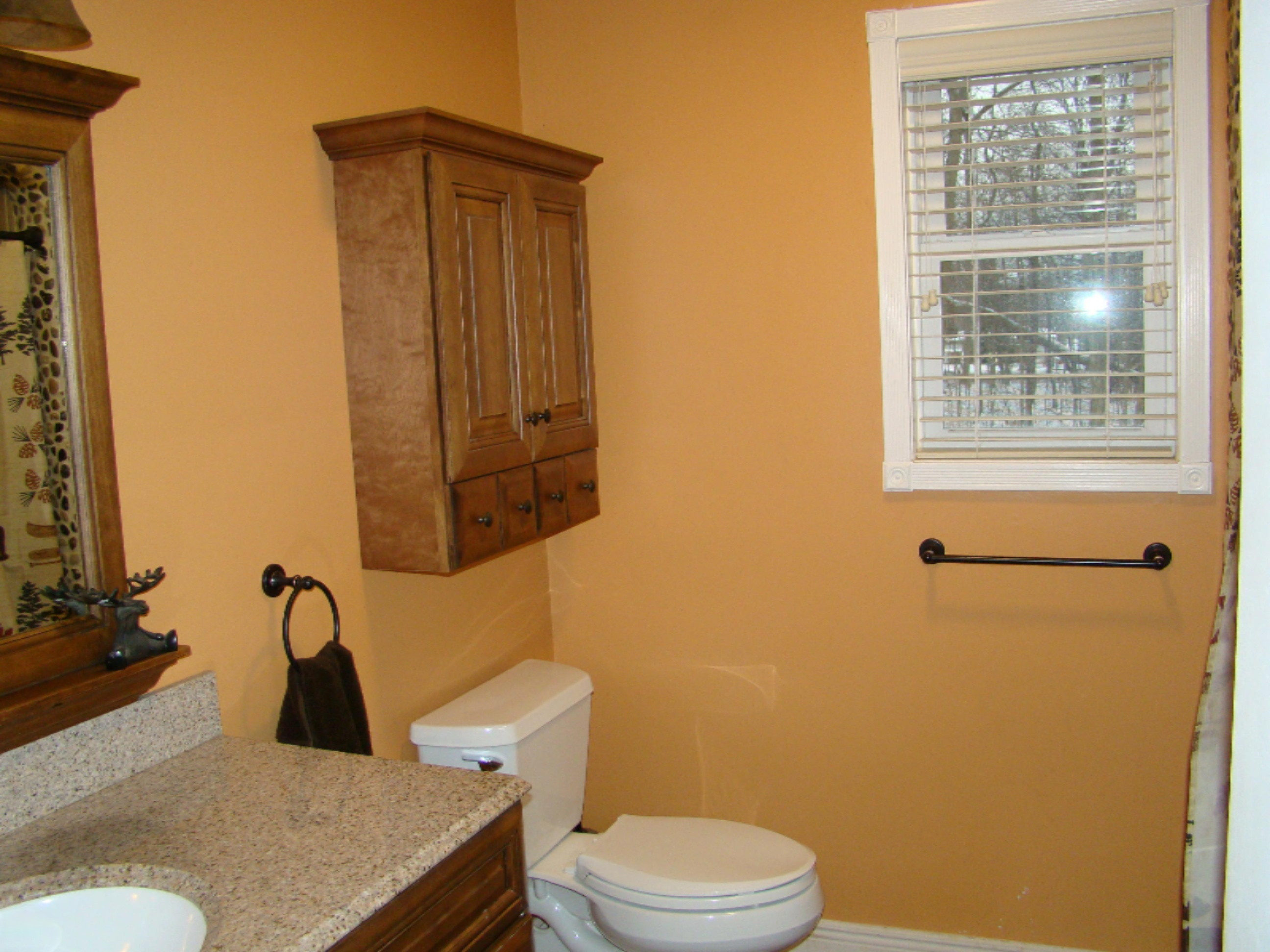 304 Clark Street Decatur, MI 49045 - Photo 8 of 14 DSC01604