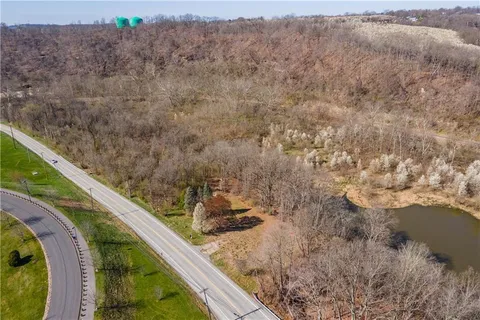 a view of a yard with trees