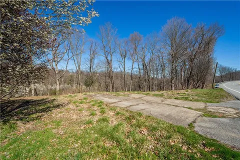 a view of large yard with large trees