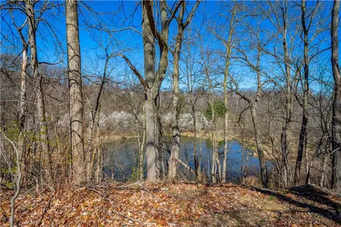 a view of yard with large trees