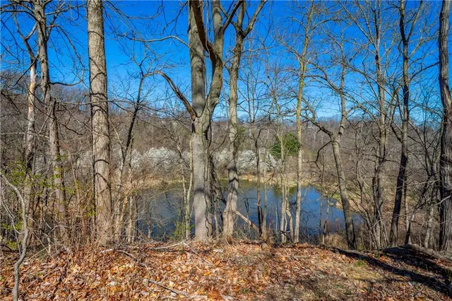 a view of yard with large trees