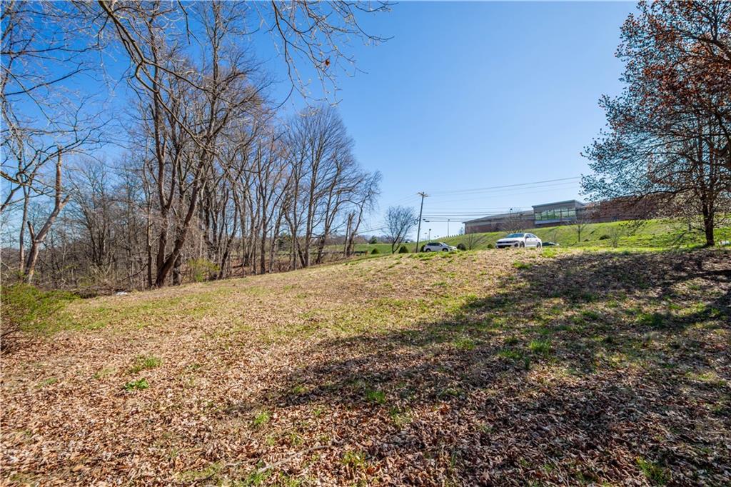 1560 Mayview Road Pittsburgh, PA 15241 - Photo 10 of 23 a view of a yard with a tree
