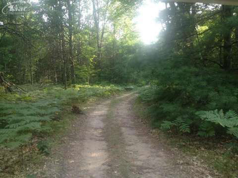 8285 Cortez Road Lake, MI 48632 - Photo 42 of 49 20386956-44.JPG