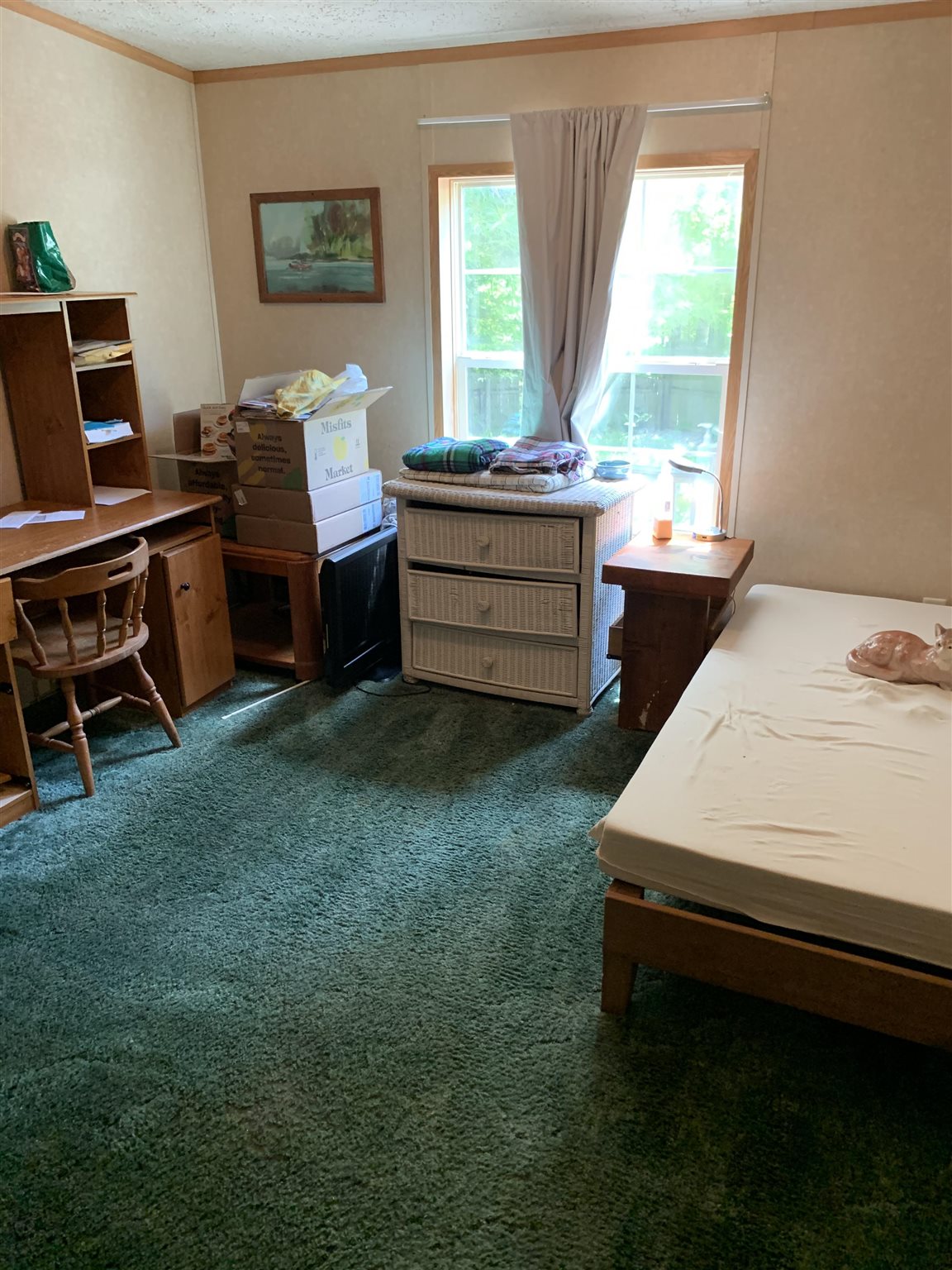 54 Pine Hill Road Warren, NH 03279 - Photo 13 of 17