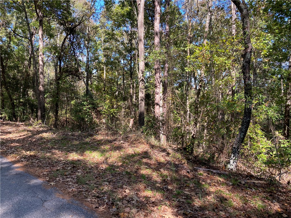 0 Capic Road Anderson, SC 29625 - Photo 1 of 7 Gallery Image 1