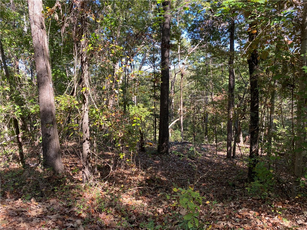 0 Capic Road Anderson, SC 29625 - Photo 2 of 7 Gallery Image 2