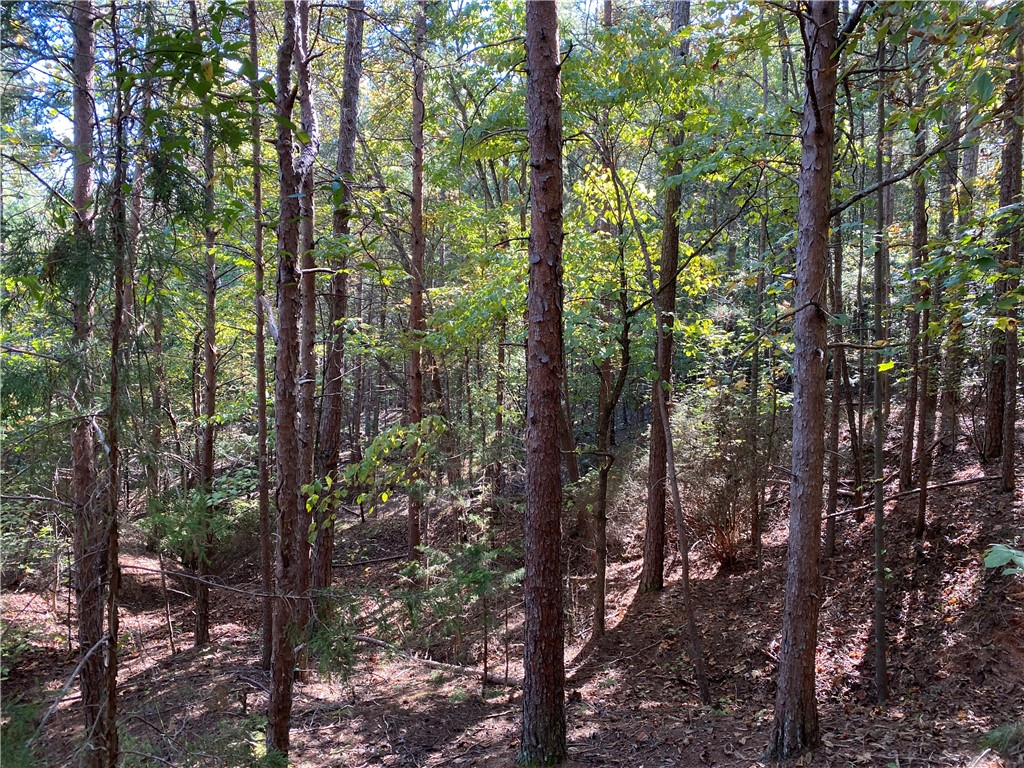 0 Capic Road Anderson, SC 29625 - Photo 5 of 7 Gallery Image 5