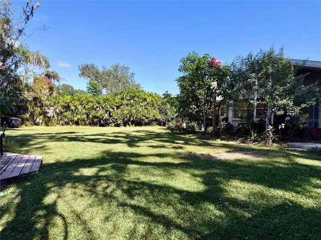 a view of a trees in a yard
