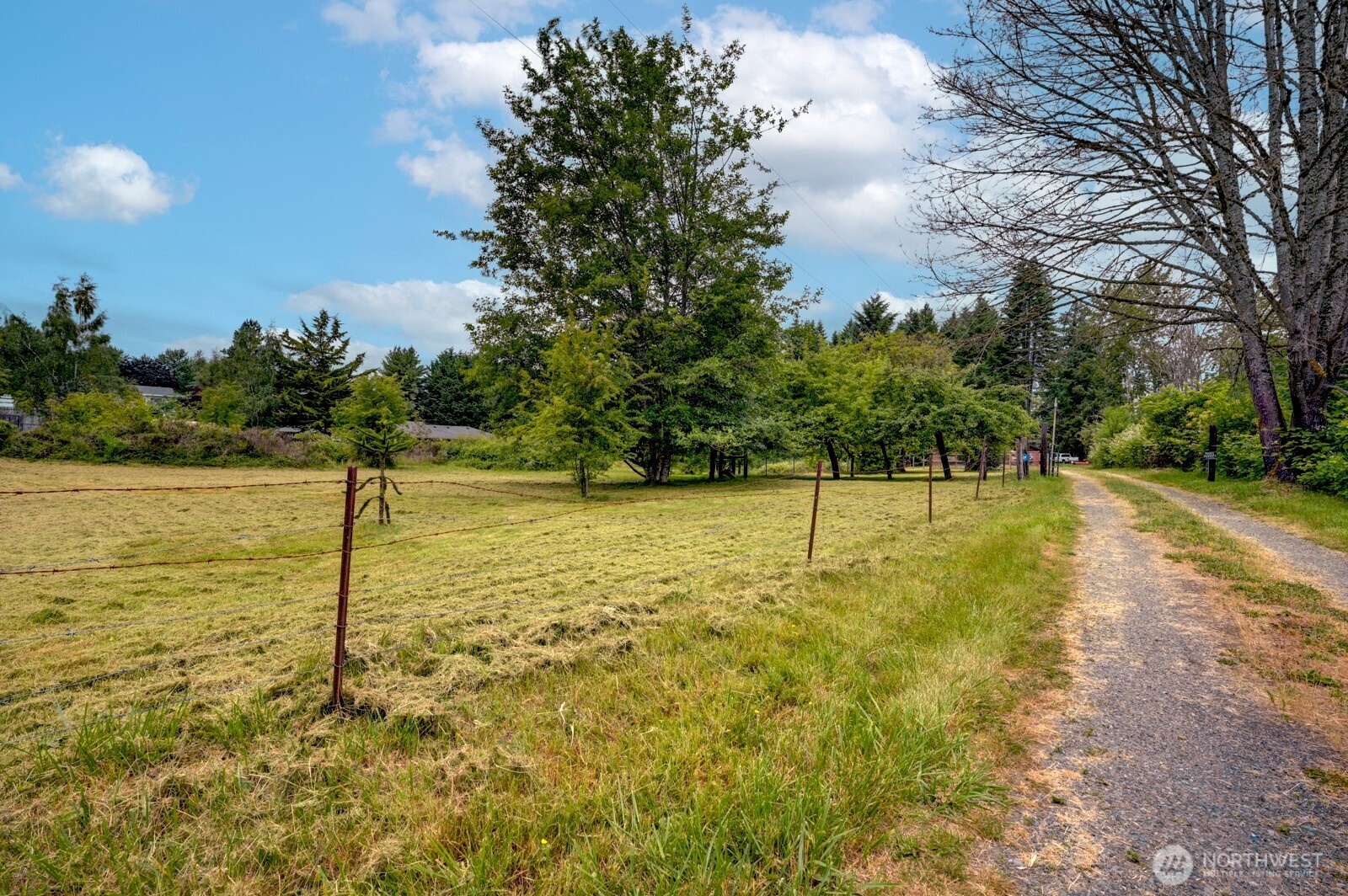 20221 Church Lake Road East Bonney Lake, WA 98391 - Photo 6 of 37