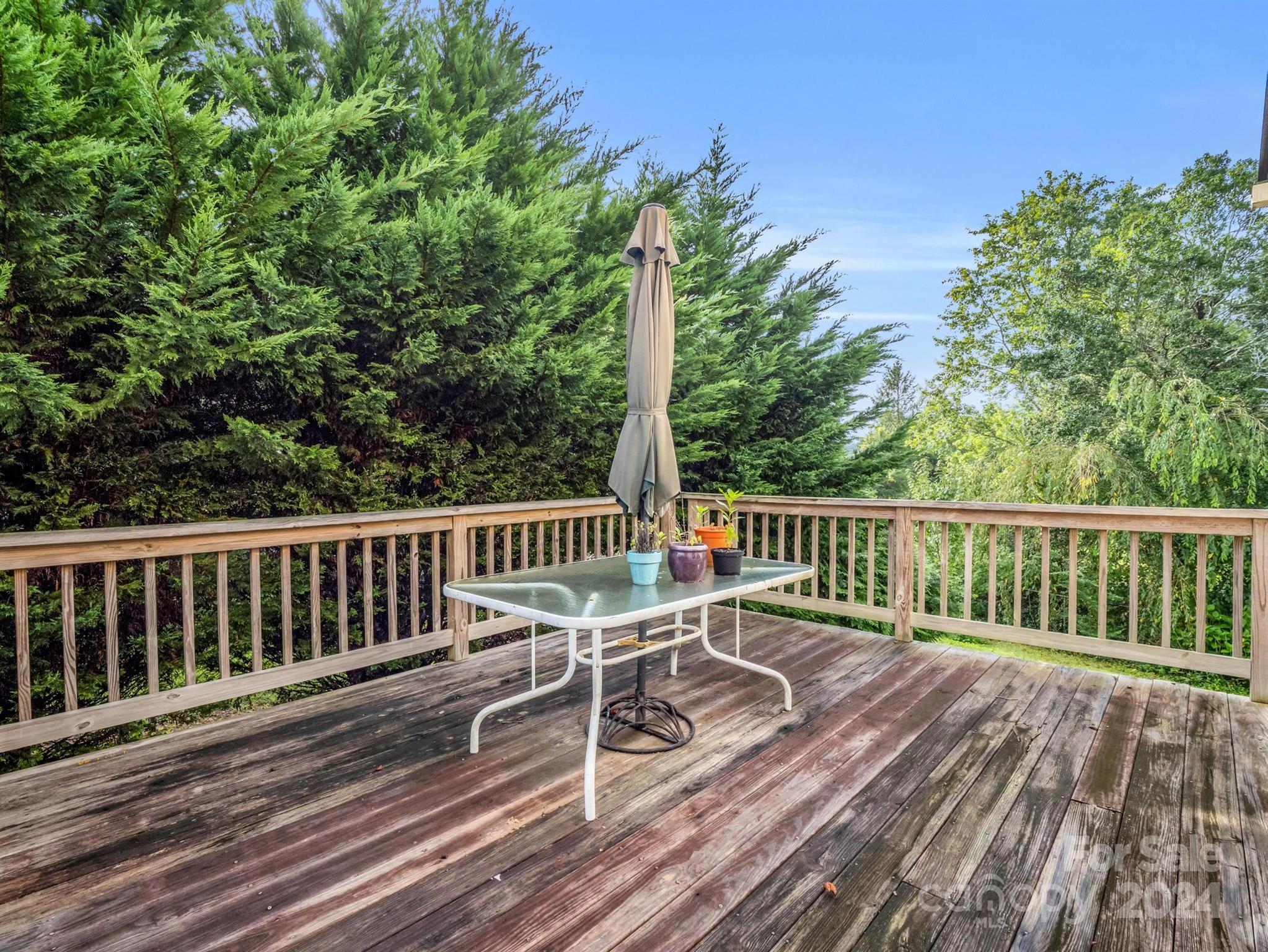 14 Monroe Street Brevard, NC 28712 - Photo 23 of 27