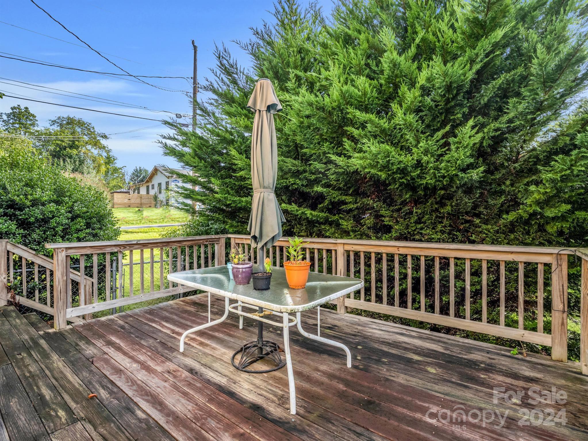 14 Monroe Street Brevard, NC 28712 - Photo 24 of 27