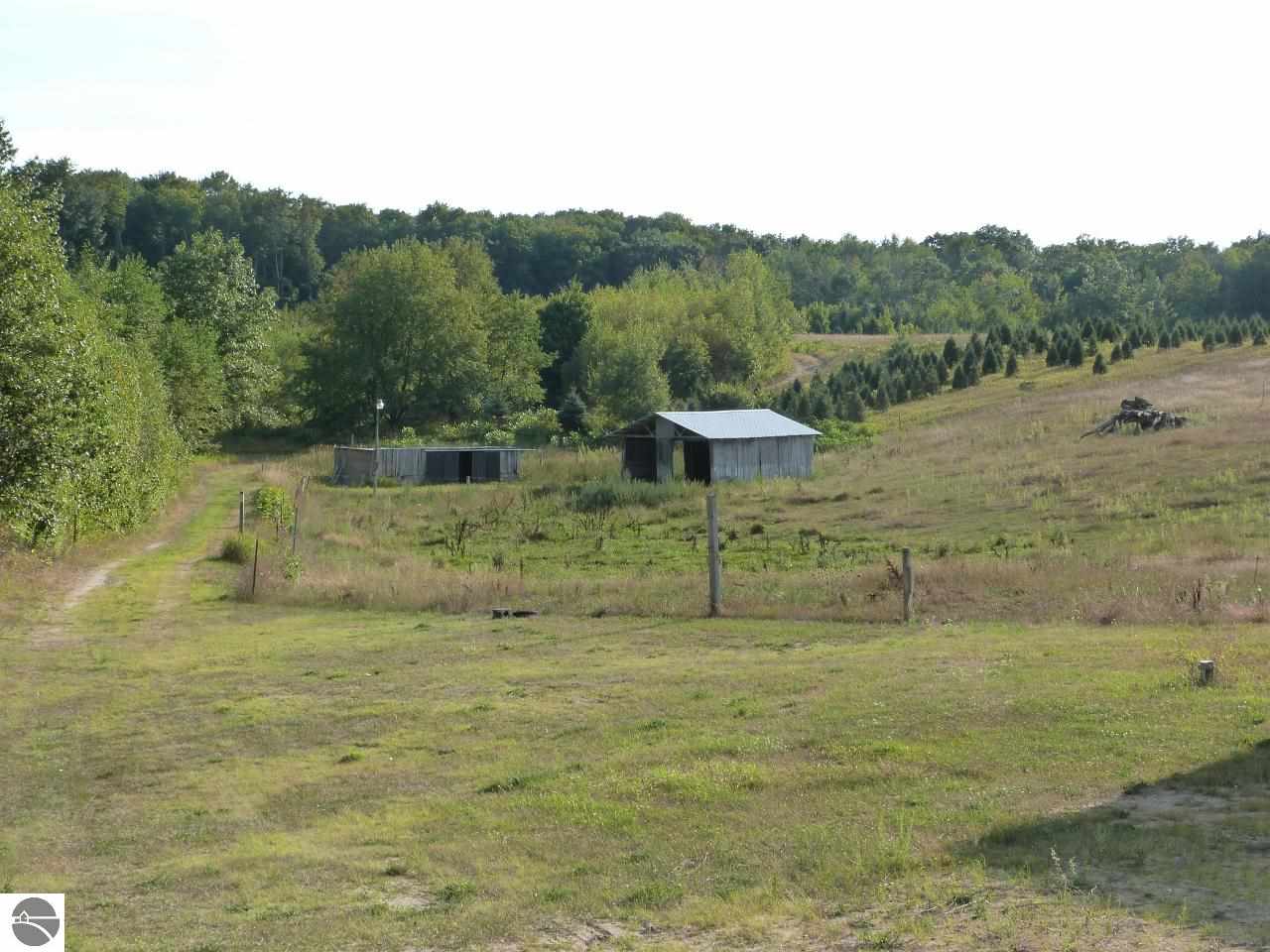 2887 North Seeley Road Manton, MI 49663 - Photo 44 of 59 1775588-43.JPG