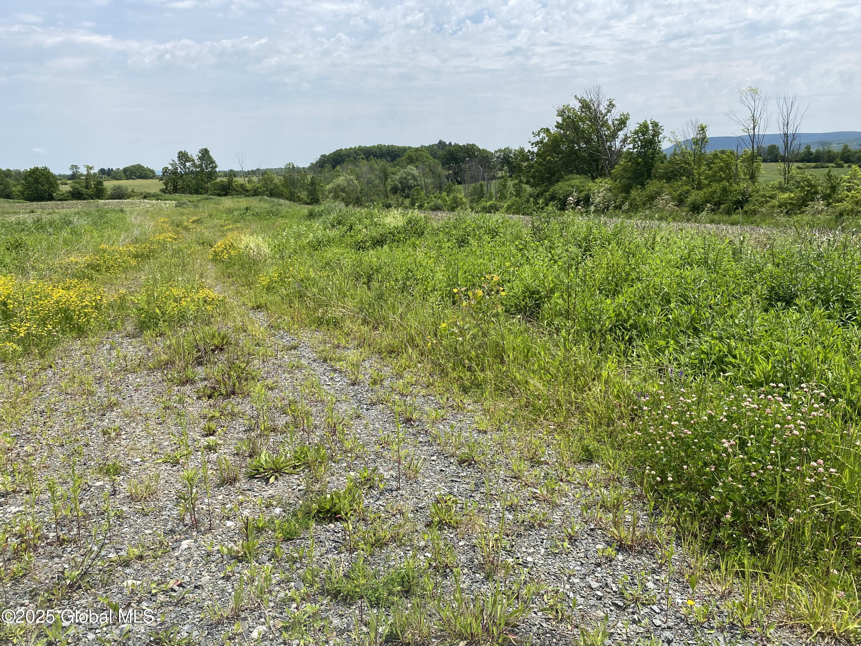 L25 Salt Springville Road Fort Plain, NY 13339 - Photo 4 of 15 IMG_5078