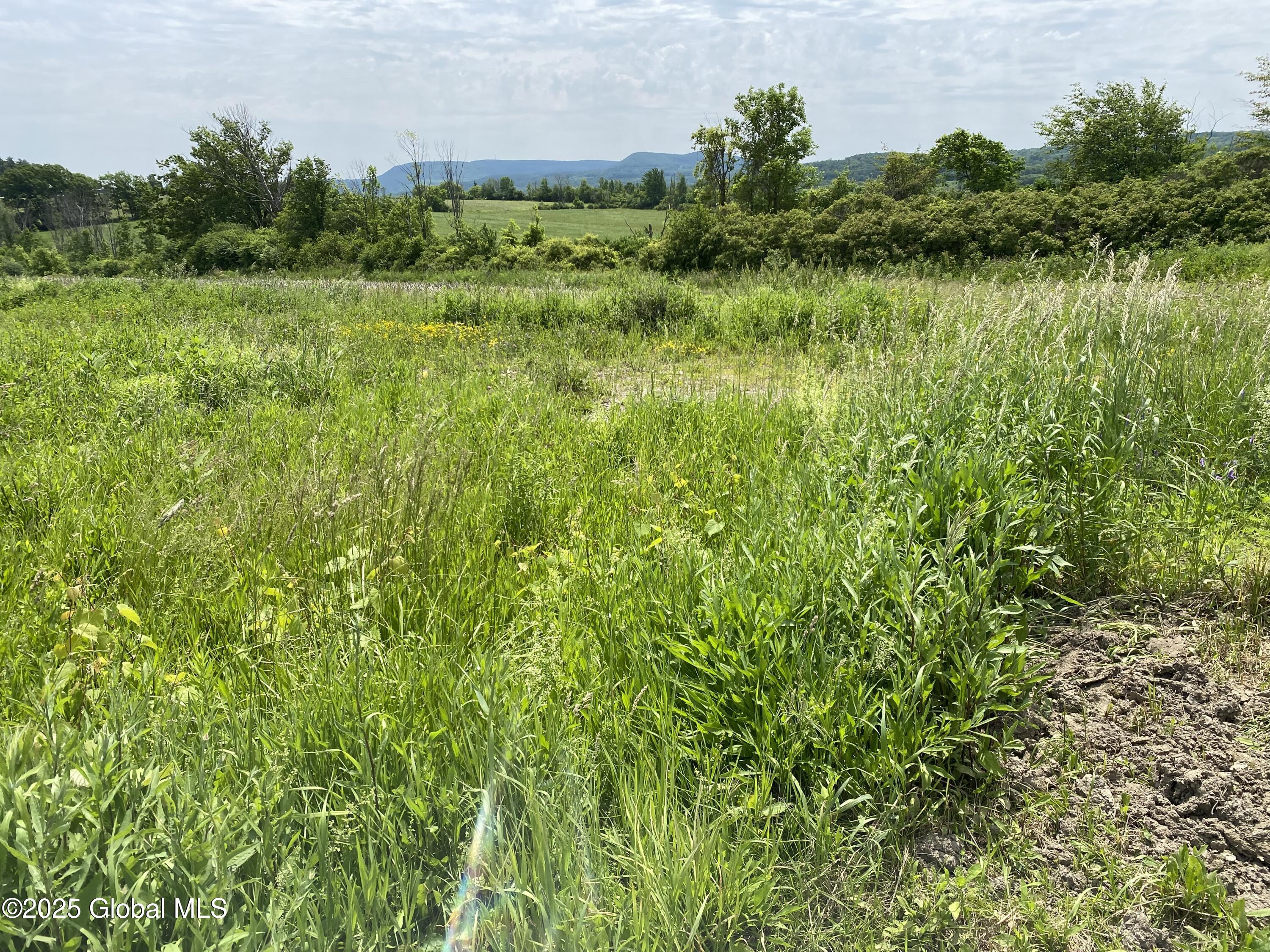L25 Salt Springville Road Fort Plain, NY 13339 - Photo 5 of 15 IMG_5068