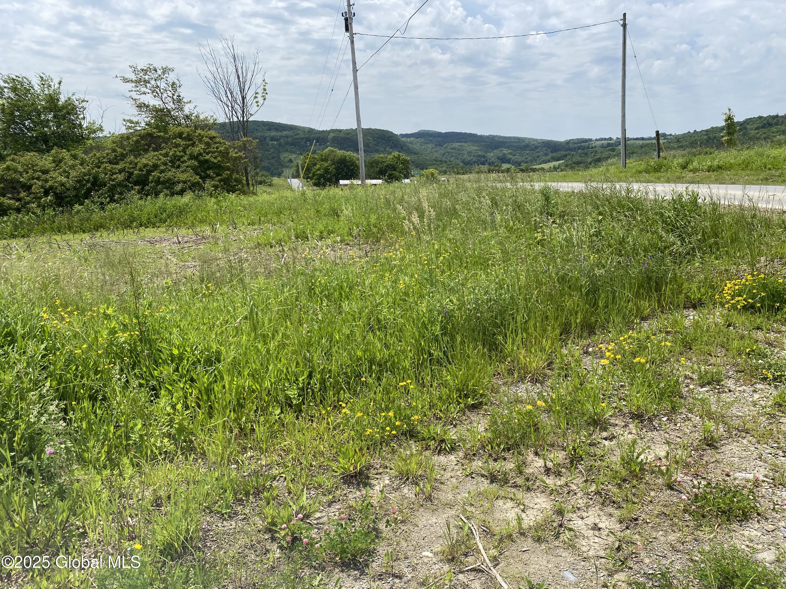 L25 Salt Springville Road Fort Plain, NY 13339 - Photo 10 of 15 IMG_5071