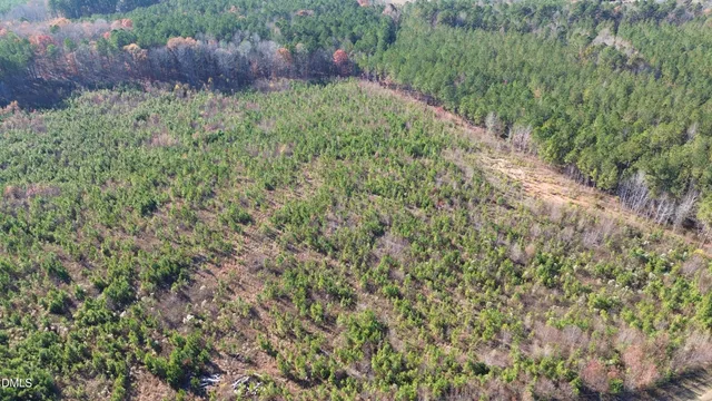 $200,000 | 0 Duke Valentine Wynne Road, Louisburg, NC 27549