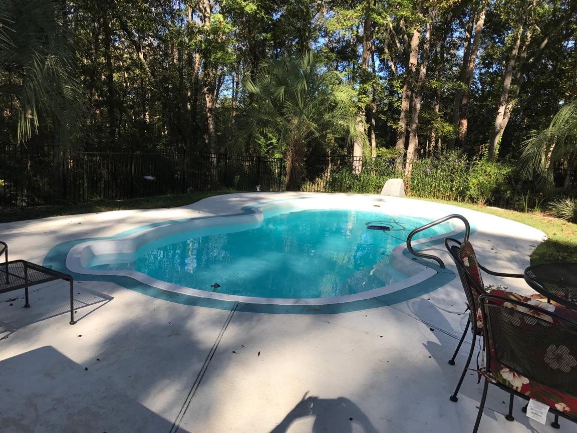 238 Scalybark Road Summerville, SC 29485 - Photo 30 of 36 238 scalybark pool 1