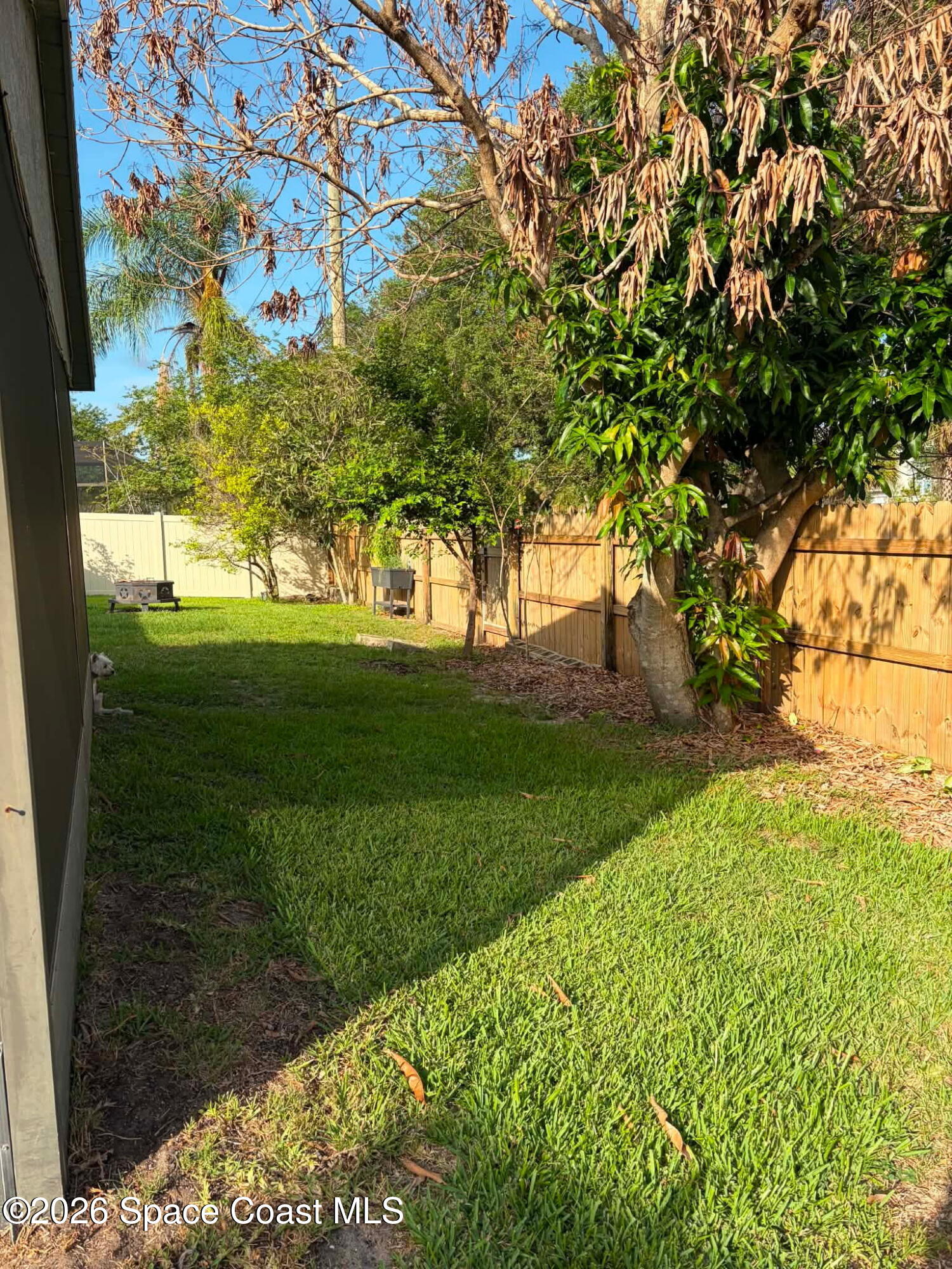 1835 Longleaf Road Cocoa, FL 32926 - Photo 42 of 55 6687