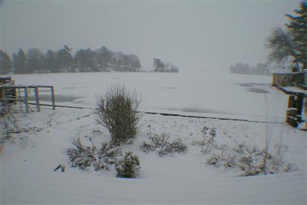 77 Birch Island Road Webster, MA 01570 - Photo 26 of 29 Gallery Image 26