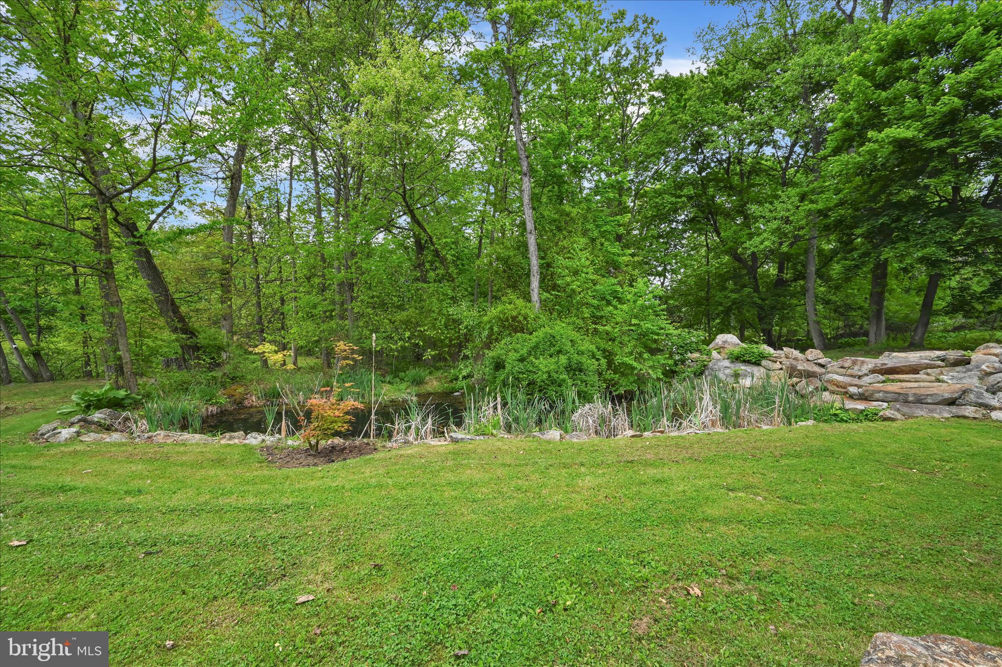 126 Crow Hill Road Barto, PA 19504 - Photo 49 of 60 Pond