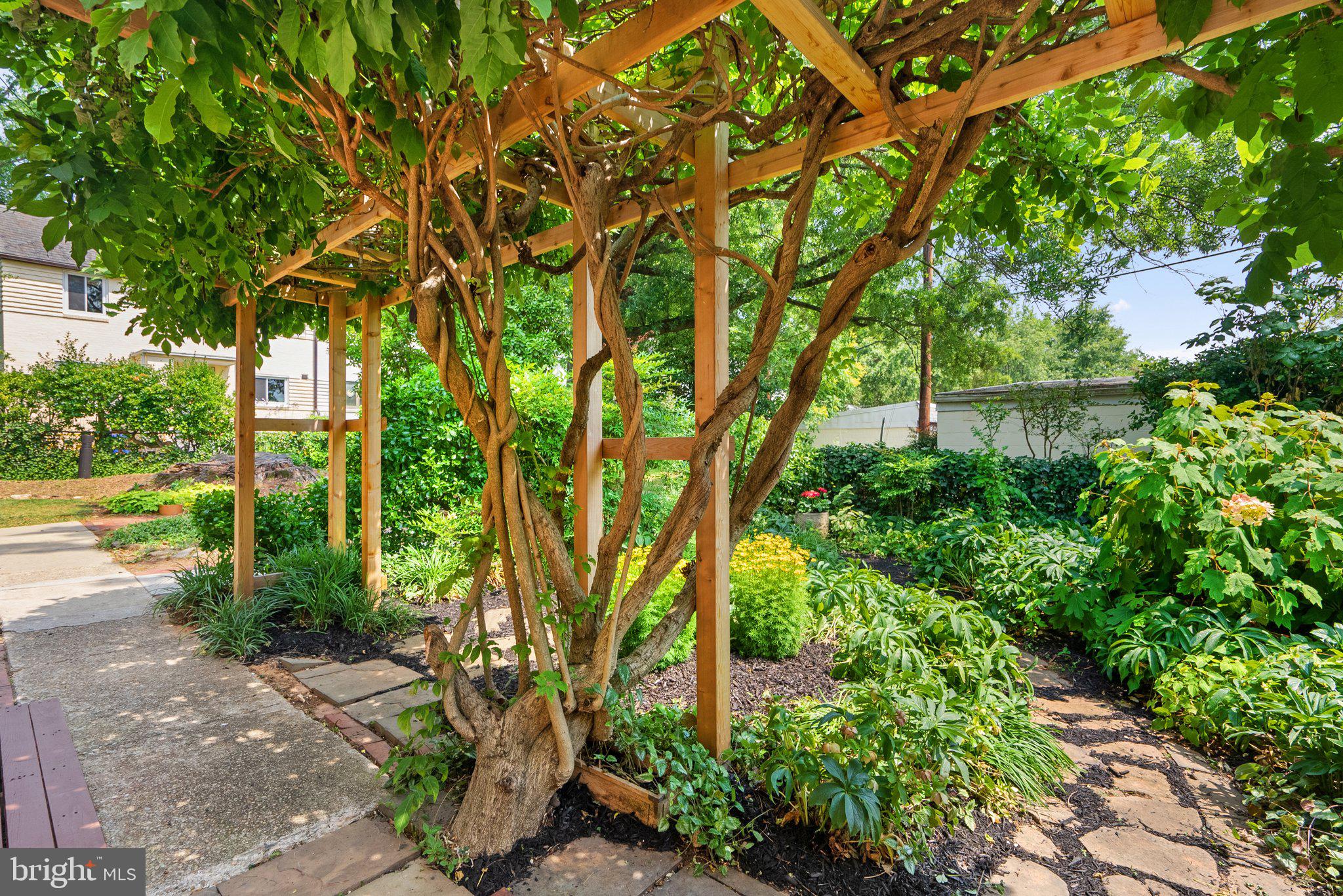 17 Ridge Road Greenbelt, MD 20770 - Photo 5 of 35 Lush Garden